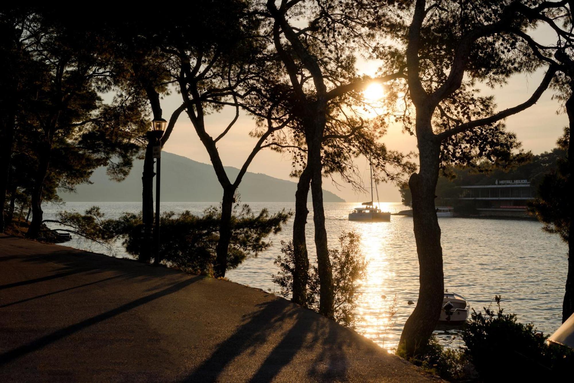 Nine Olives Hvar Willa